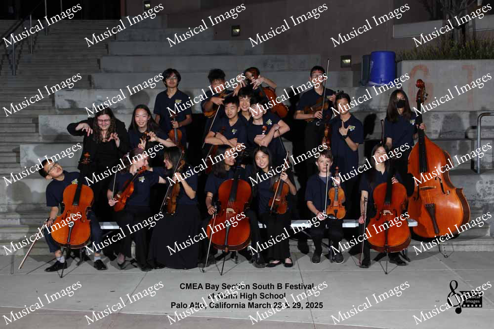 Musical Images